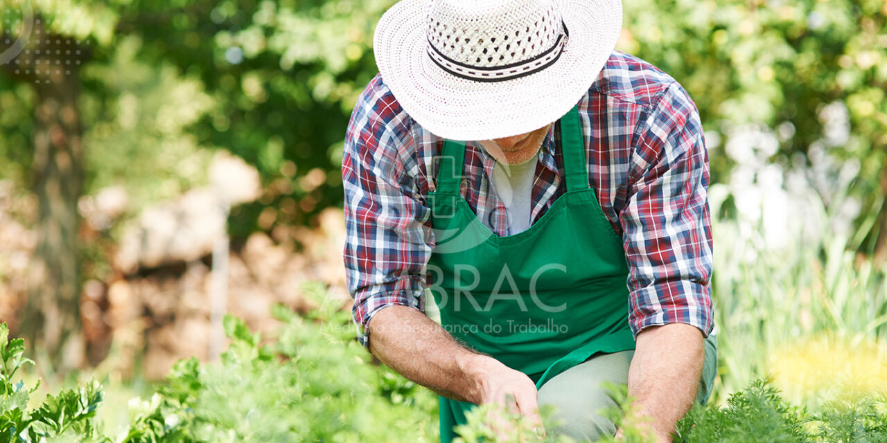 NR-31 em 2026: BOATO sobre proibição de chapéu no campo é falso