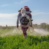 Ambrac Medicina e Seguranca do Trabalho AMBRAC agrotoxicos exposicao pcmso pgr ambrac