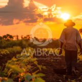 Ambrac Medicina e Seguranca do Trabalho AMBRAC pgrtr trabalho rural riscos nr31 ambrac